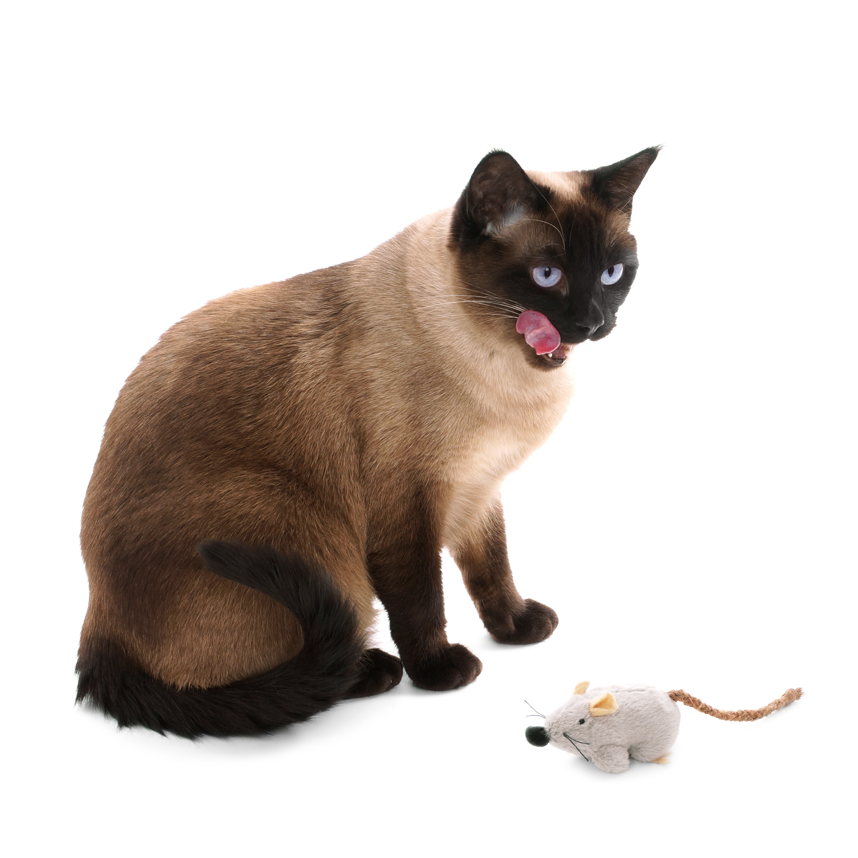 Ratos de pelúcia - Brinquedos que os gatos mais gostam
