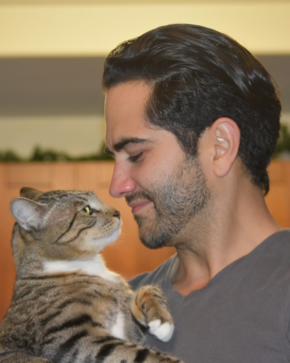 Cat and human