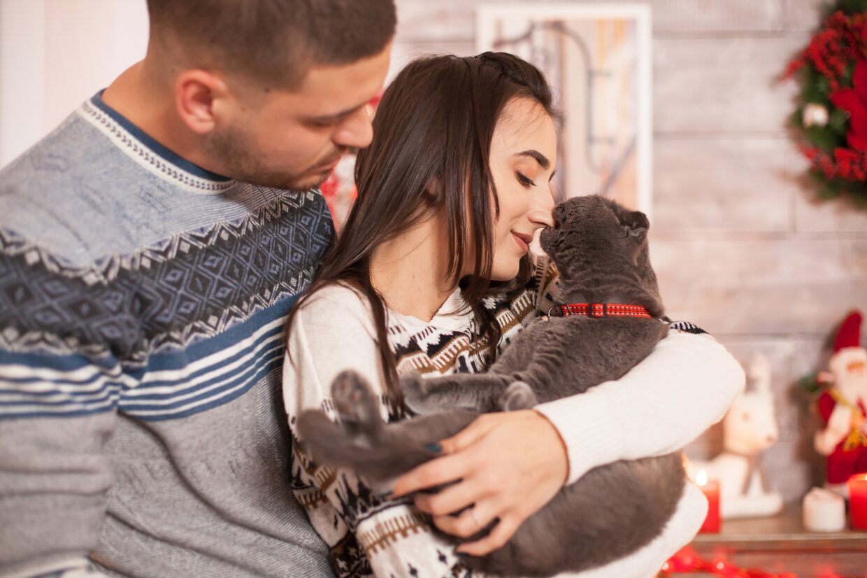 Happy couple looking at their cat