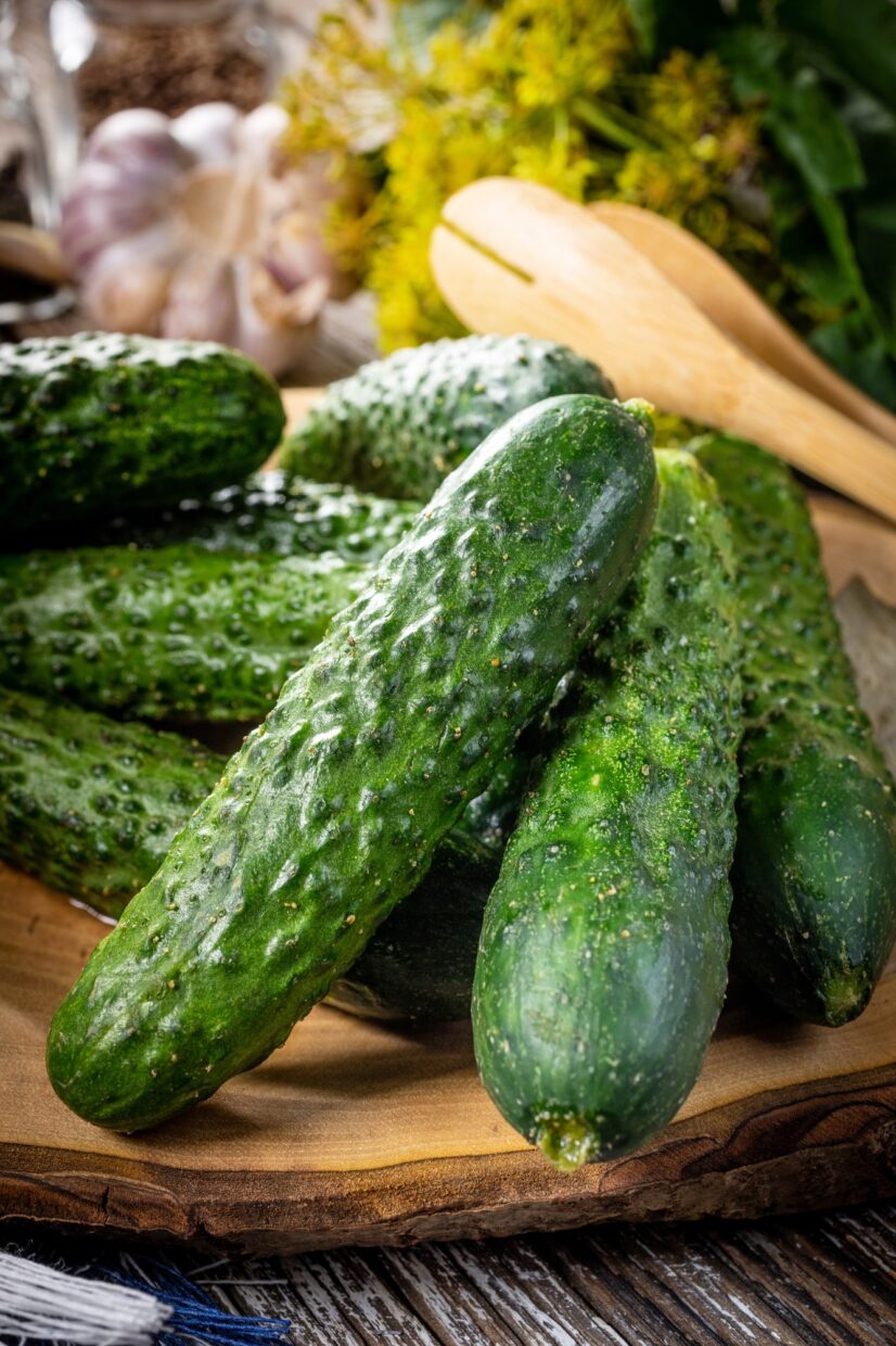 Preparation for pickling cucumbers.